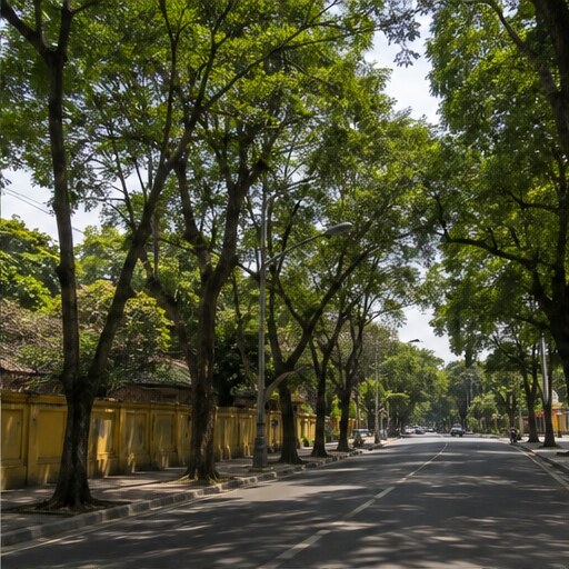 Ba Dinh — доступ и окружение